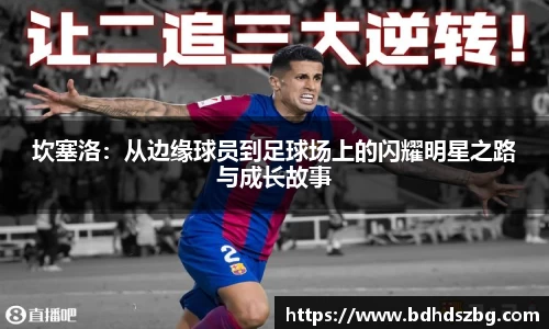 BB贝博登录入口